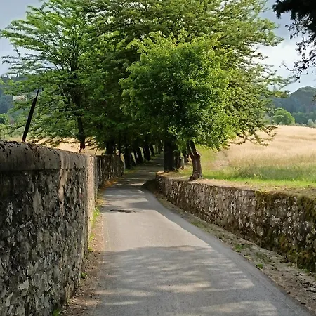 Daire Casa Lilla A
